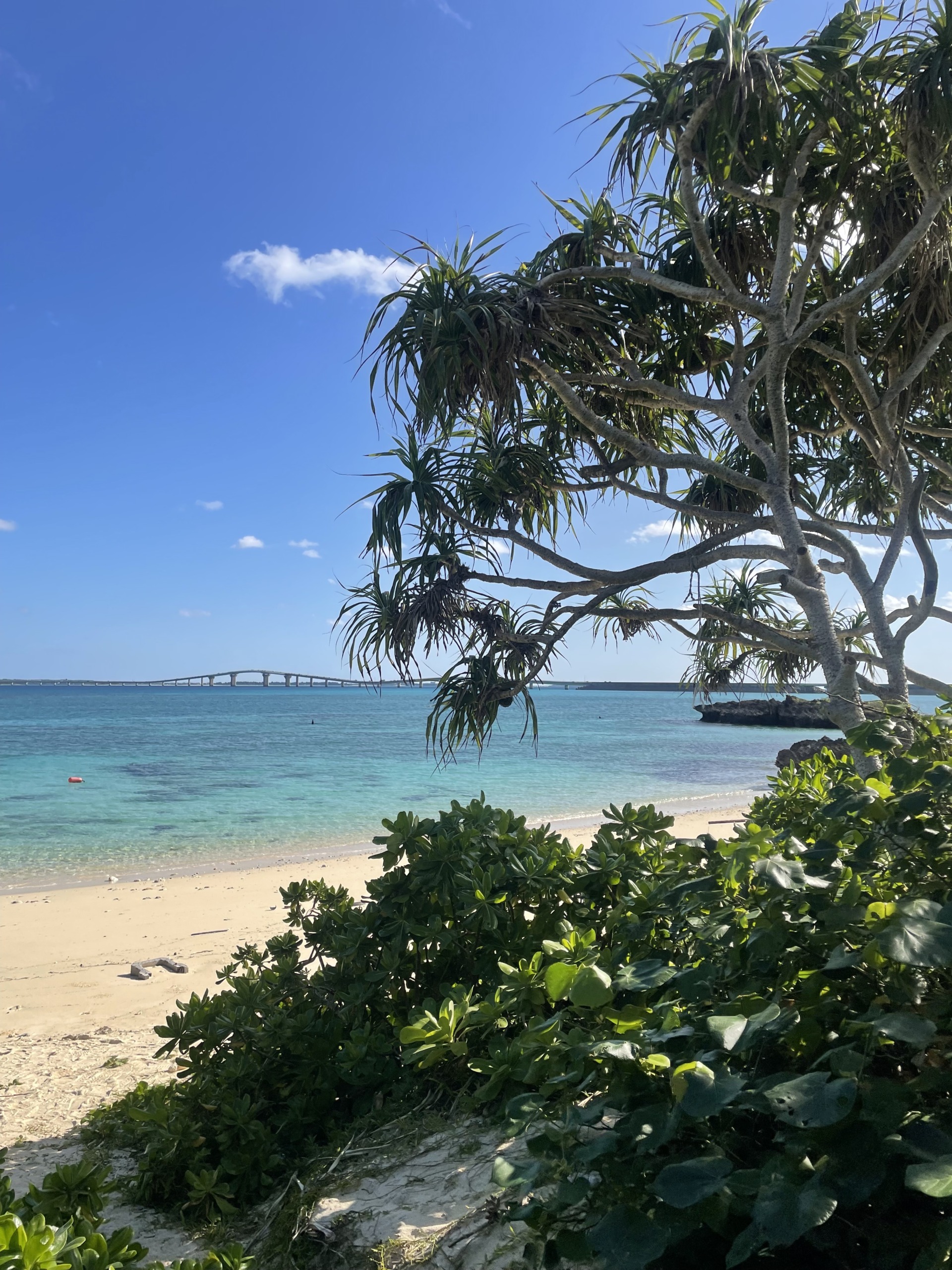 NPO法人ひだまり | 沖縄県 宮古島市
