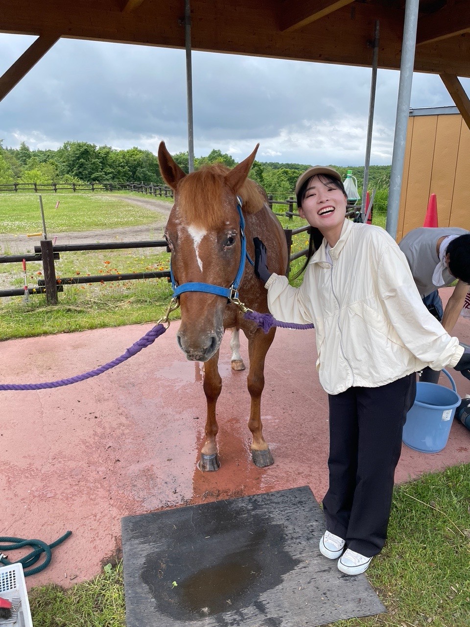 「先輩の声」がアップされました